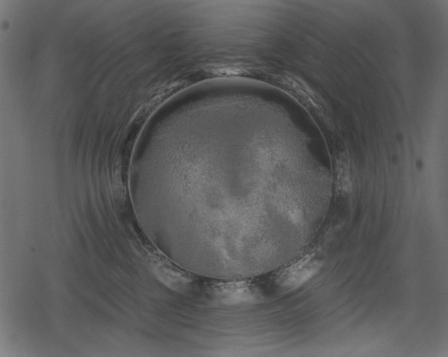 X0000078290377200611031238