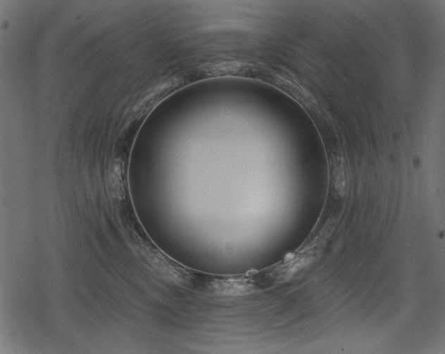 X0000078290378200611031238