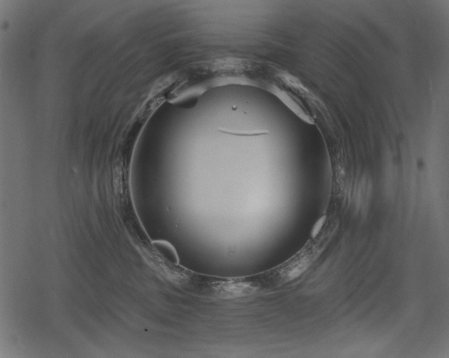 X0000078290379200611031238