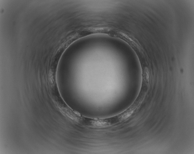 X0000078290380200611031238