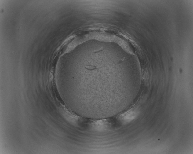 X0000078290382200611031238