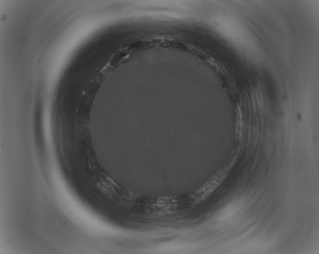 X0000078290383200611031238