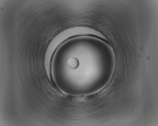 X0000078290384200611031238