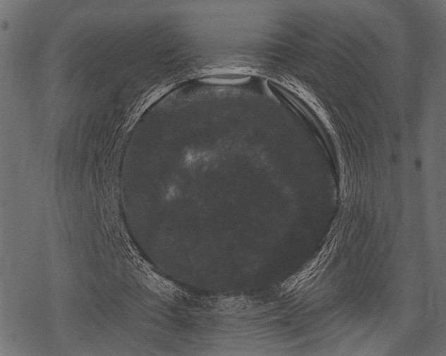 X0000078290385200611031237