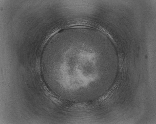 X0000078290386200611031237