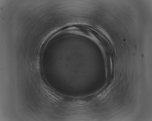 X0000078290387200611031237