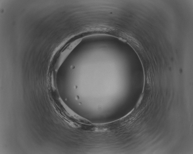 X0000078290388200611031237