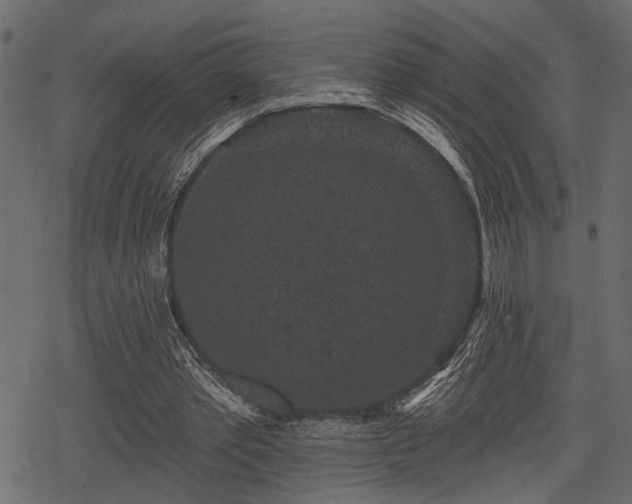 X0000078290389200611031237