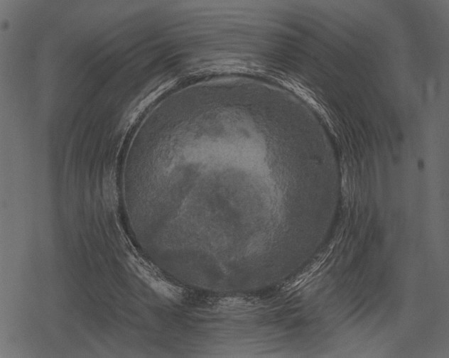 X0000078290390200611031237