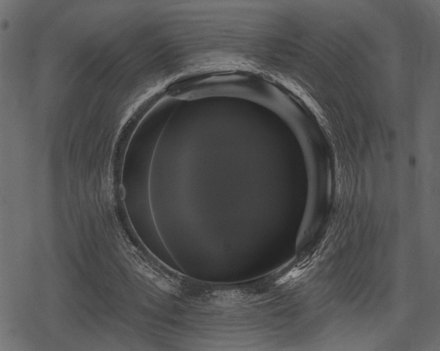 X0000078290391200611031237