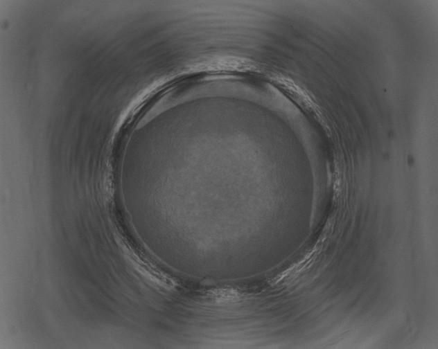 X0000078290392200611031237