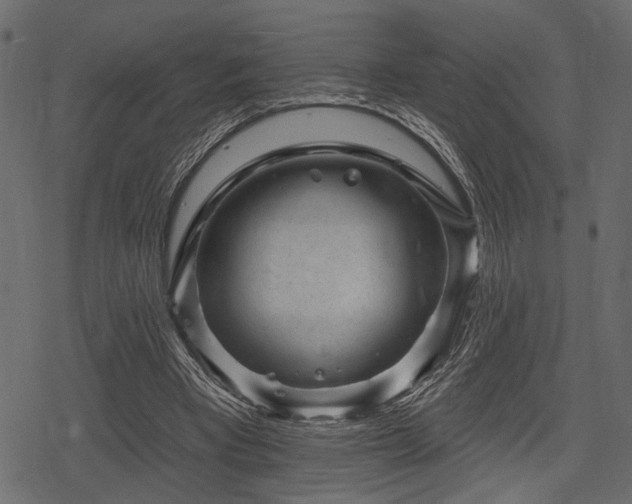 X0000078290393200611031237