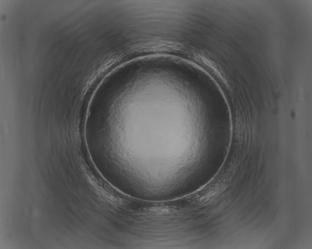 X0000078290394200611031237