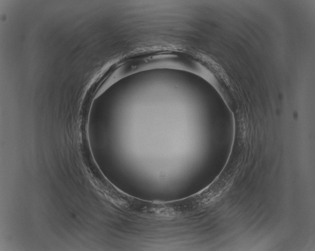 X0000078290395200611031237