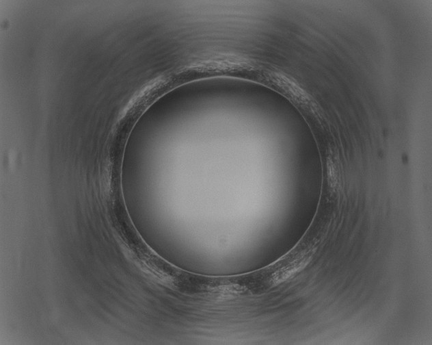 X0000078290396200611031237