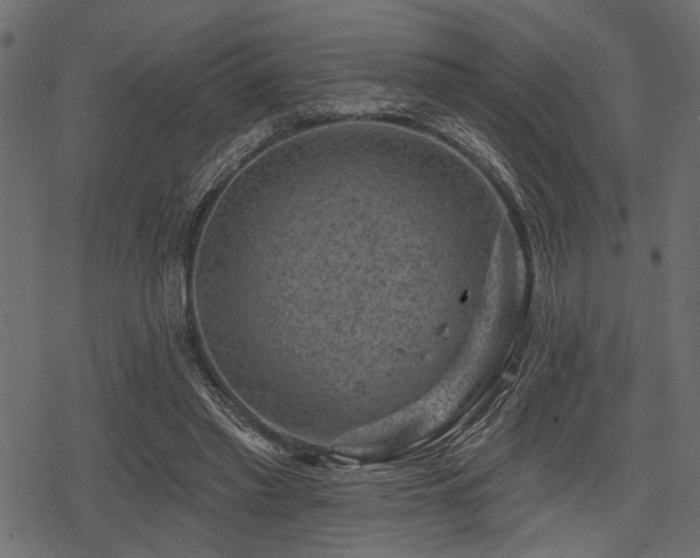 X0000078290397200611031237