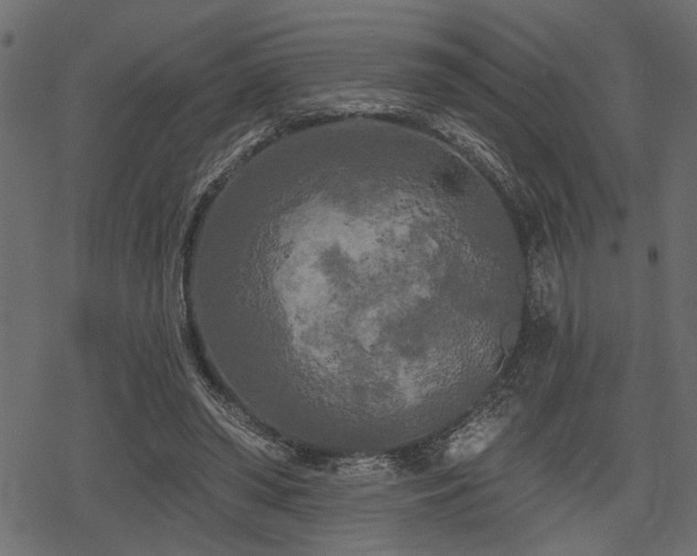 X0000078290398200611031237