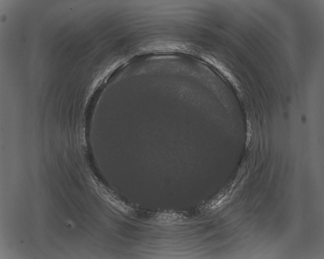 X0000078290399200611031237