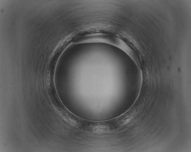 X0000078290400200611031237