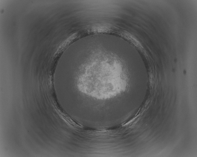 X0000078290401200611031237