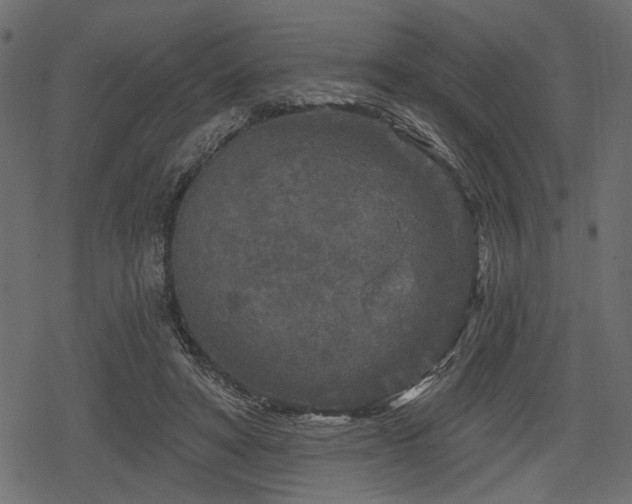 X0000078290402200611031237