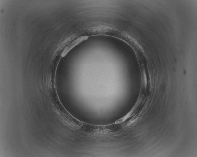 X0000078290403200611031237