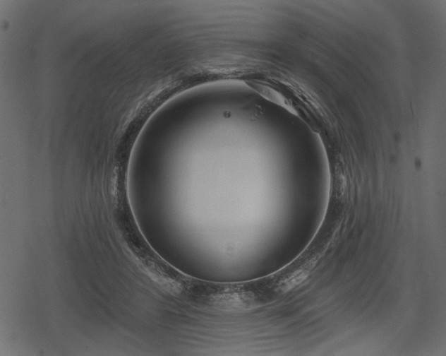 X0000078290404200611031237