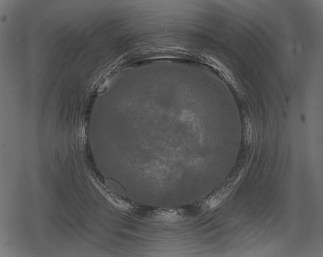 X0000078290405200611031237