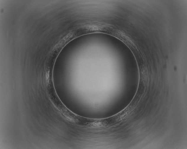 X0000078290406200611031237