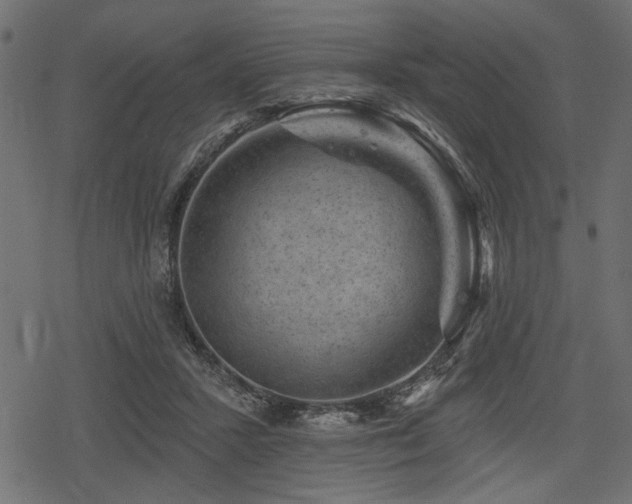 X0000078290407200611031237