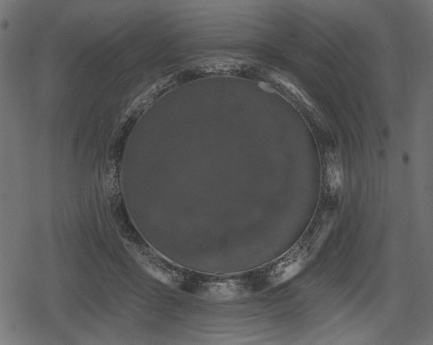 X0000078290411200611031236