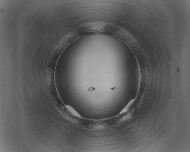 X0000078290412200611031236