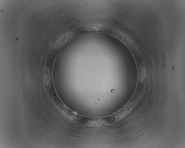 X0000078290414200611031236