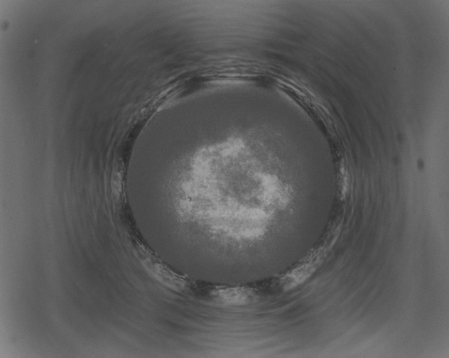 X0000078290417200611031236