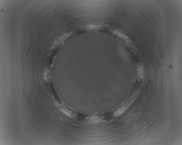 X0000078290419200611031236