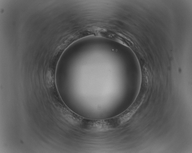 X0000078290420200611031236