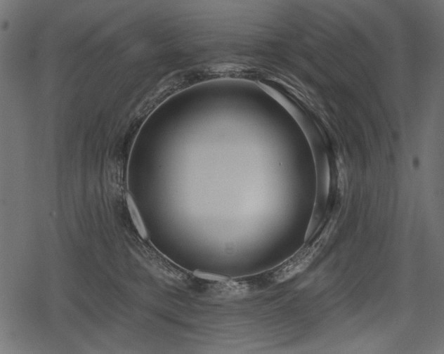 X0000078290421200611031236