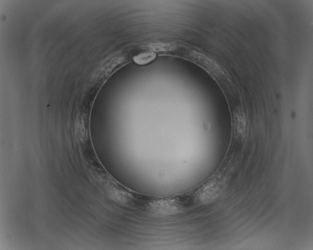 X0000078290422200611031236