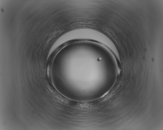 X0000078290423200611031236