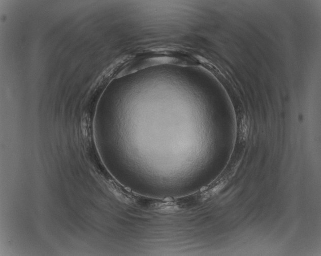 X0000078290424200611031236