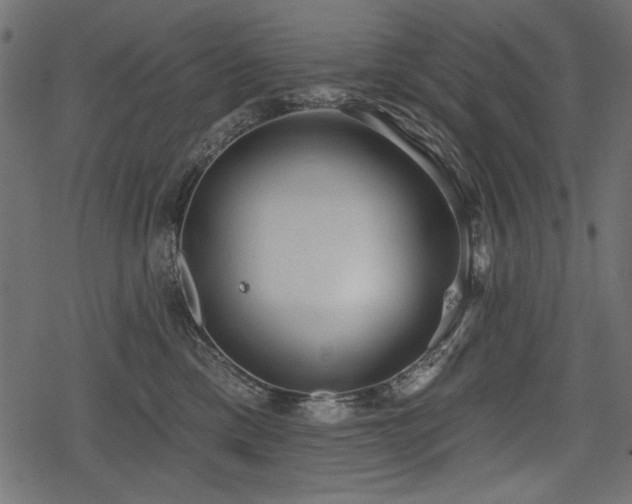 X0000078290425200611031236