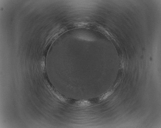 X0000078290427200611031236