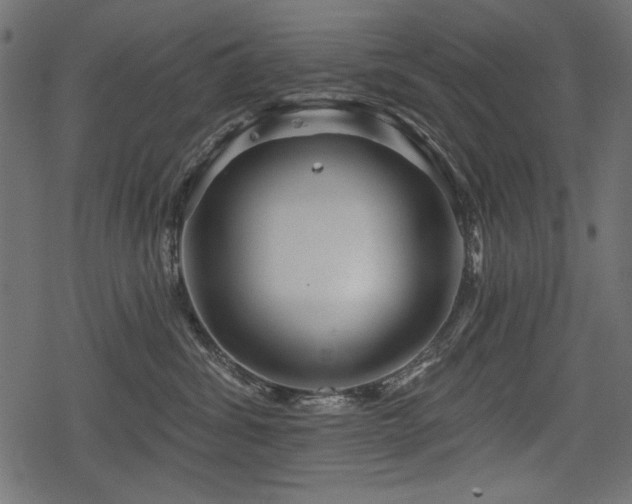 X0000078290428200611031236