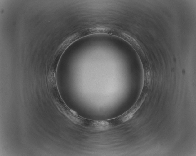 X0000078290429200611031236