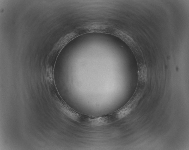 X0000078290430200611031236