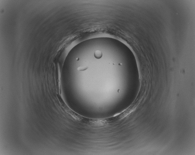 X0000078290432200611031236