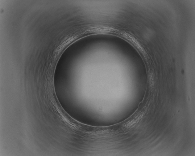 X0000078290433200611031235