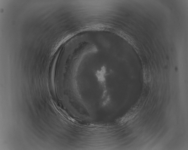 X0000078290434200611031235