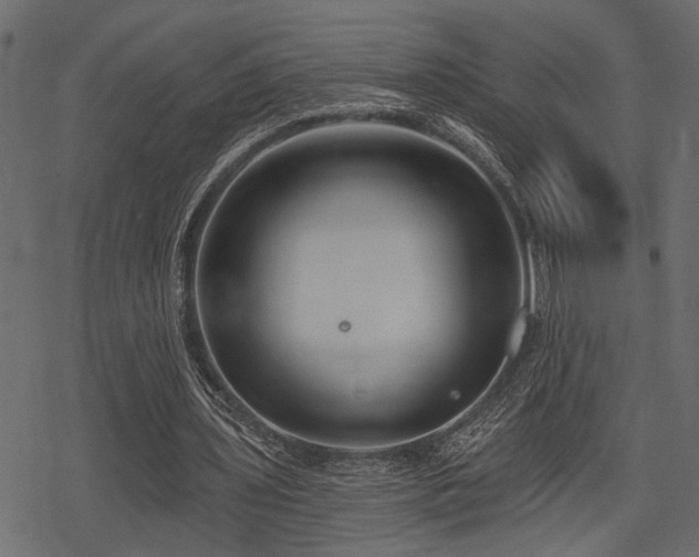 X0000078290435200611031235