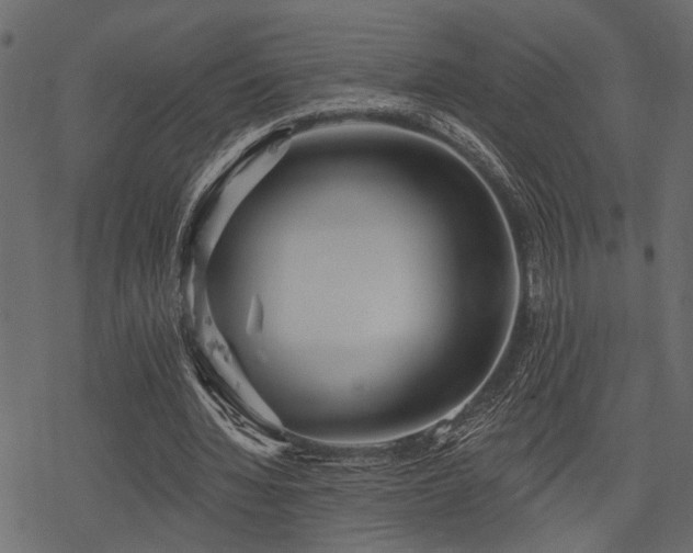 X0000078290436200611031235